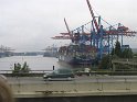 IMG_0549