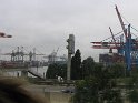 IMG_0550