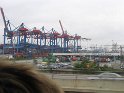IMG_0552