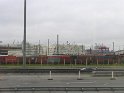 IMG_0554