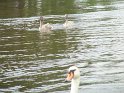 IMG_0564