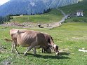 IMG_0325