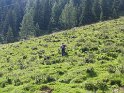 IMG_0328