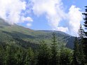 IMG_0354