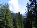 IMG_0365