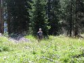 IMG_0377