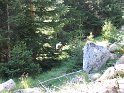 IMG_0379