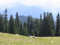 IMG_0382