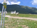 IMG_0407