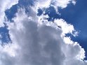 IMG_0416