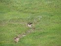 IMG_0447
