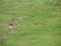 IMG_0448