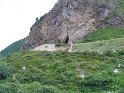 IMG_0453