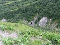 IMG_0462