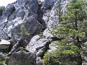 IMG_0488
