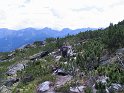 IMG_0491