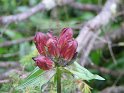 IMG_0495