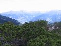 IMG_0508