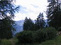 IMG_0512