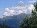 IMG_0524