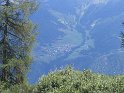 IMG_0525