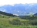 IMG_0538