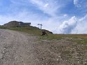 IMG_0541