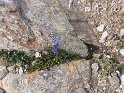 IMG_0582