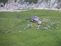 IMG_0611