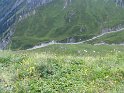IMG_0618