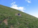 IMG_0622
