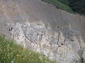 IMG_0626