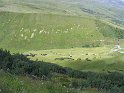 IMG_0631