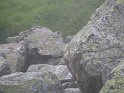 IMG_0686