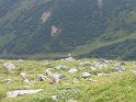 IMG_0700