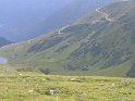 IMG_0701