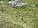 IMG_0705