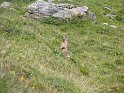 IMG_0706