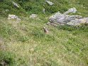 IMG_0707