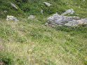 IMG_0708