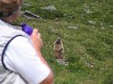 IMG_0709