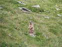 IMG_0710