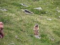 IMG_0711