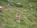 IMG_0712