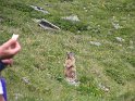 IMG_0713