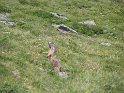 IMG_0714