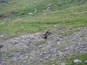 IMG_0715