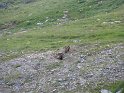 IMG_0716