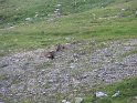 IMG_0717