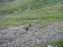 IMG_0718